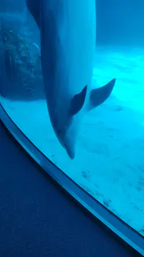 名古屋港水族館に投稿された画像（2026/3/15）