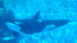 名古屋港水族館に投稿された画像（2026/3/15）