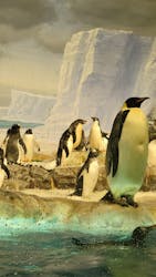 名古屋港水族館に投稿された画像（2026/3/15）