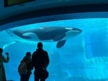 名古屋港水族館に投稿された画像（2026/3/16）