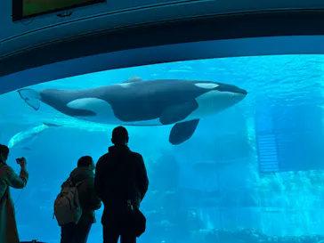 名古屋港水族館に投稿された画像（2026/3/15）