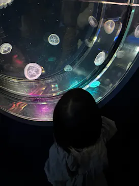 名古屋港水族館に投稿された画像（2026/3/15）