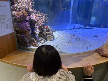 名古屋港水族館に投稿された画像（2026/3/15）