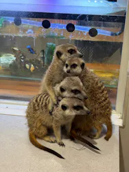 アニタッチアクアシティお台場に投稿された画像（2026/3/15）