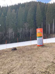 めいほうスキー場に投稿された画像（2026/3/15）