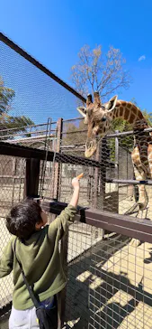 ANIMAL WONDER REZOURT 市原ぞうの国・サユリワールドに投稿された画像（2026/3/15）