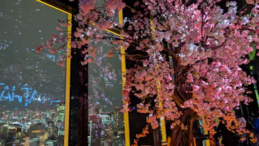 東京タワーに投稿された画像（2026/3/16）