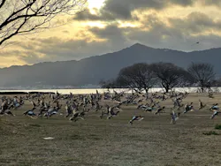 滋賀県立琵琶湖博物館に投稿された画像（2026/3/16）