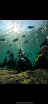 武藤潜水に投稿された画像（2026/3/16）