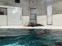 大分マリーンパレス水族館 「うみたまご」に投稿された画像（2026/3/16）