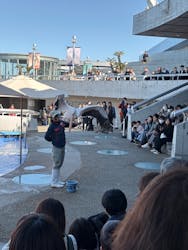大分マリーンパレス水族館 「うみたまご」に投稿された画像（2026/3/16）