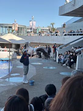 大分マリーンパレス水族館 「うみたまご」に投稿された画像（2026/3/16）