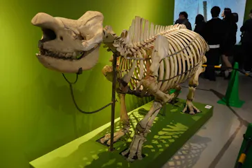 特別展「超危険生物展　科学で挑む生き物の本気」に投稿された画像（2026/3/16）