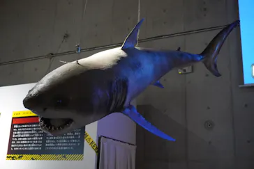 特別展「超危険生物展　科学で挑む生き物の本気」に投稿された画像（2026/3/16）