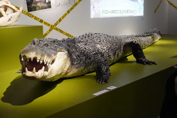 特別展「超危険生物展　科学で挑む生き物の本気」に投稿された画像（2026/3/16）