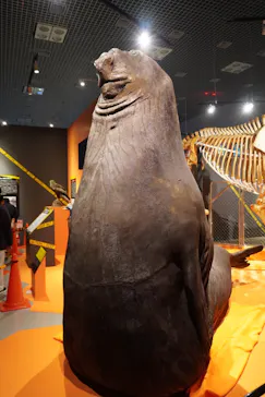 特別展「超危険生物展　科学で挑む生き物の本気」に投稿された画像（2026/3/16）