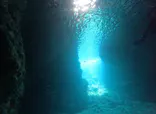 武藤潜水に投稿された画像（2026/3/16）