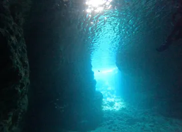 武藤潜水に投稿された画像（2026/3/16）