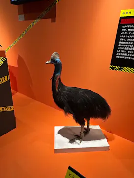 特別展「超危険生物展　科学で挑む生き物の本気」に投稿された画像（2026/3/16）