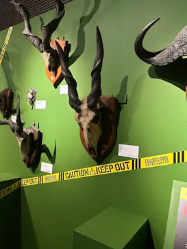 特別展「超危険生物展　科学で挑む生き物の本気」に投稿された画像（2026/3/16）