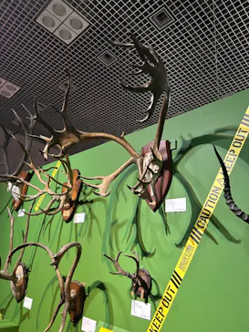 特別展「超危険生物展　科学で挑む生き物の本気」に投稿された画像（2026/3/16）