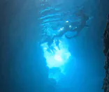 武藤潜水に投稿された画像（2026/3/16）