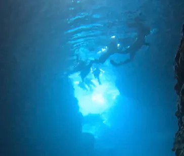 武藤潜水に投稿された画像（2026/3/16）