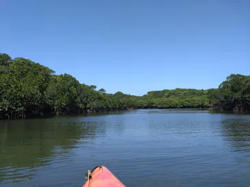 西表島カヌーツーリングあたらすに投稿された画像（2026/3/16）