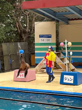 鳥羽湾めぐりとイルカ島に投稿された画像（2026/3/16）