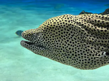 サンシャイン水族館に投稿された画像（2026/3/16）