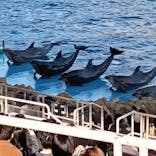 名古屋港水族館に投稿された画像（2026/3/16）