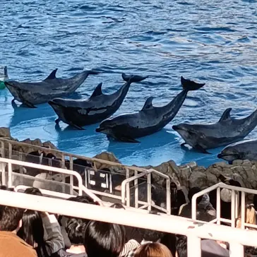 名古屋港水族館に投稿された画像（2026/3/16）