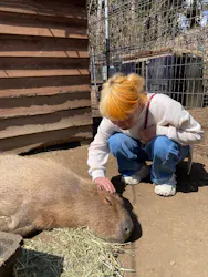 ダチョウ王国石岡ファームに投稿された画像（2026/3/16）