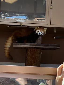 横浜・八景島シーパラダイスに投稿された画像（2026/3/16）