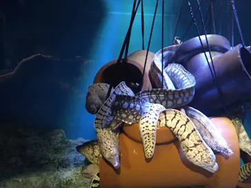 竹島水族館に投稿された画像（2026/3/16）