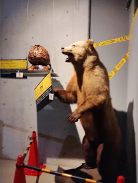 特別展「超危険生物展　科学で挑む生き物の本気」に投稿された画像（2026/3/16）