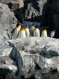 葛西臨海水族園に投稿された画像（2026/3/16）