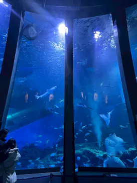 横浜・八景島シーパラダイスに投稿された画像（2026/3/16）