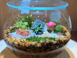 Terrariums 渋谷ヒカリエ店に投稿された画像（2026/3/16）