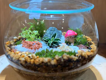 Terrariums 渋谷ヒカリエ店に投稿された画像（2026/3/16）