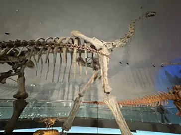 福井県立恐竜博物館に投稿された画像（2026/3/16）