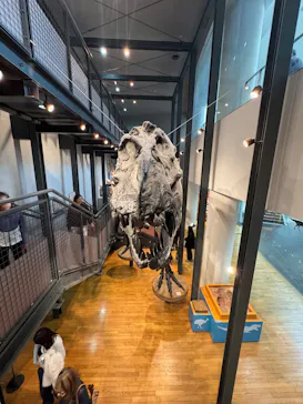 福井県立恐竜博物館に投稿された画像（2026/3/16）