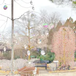 箱根ガラスの森美術館に投稿された画像（2026/3/16）