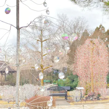 箱根ガラスの森美術館に投稿された画像（2026/3/16）