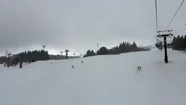 キューピットバレイに投稿された画像（2026/3/16）