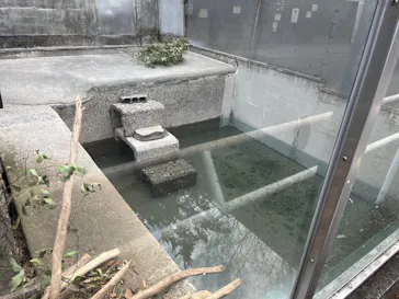 宇都宮動物園に投稿された画像（2026/3/16）