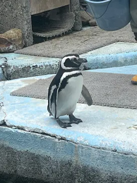 宇都宮動物園に投稿された画像（2026/3/16）