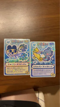 新江ノ島水族館に投稿された画像（2026/3/16）