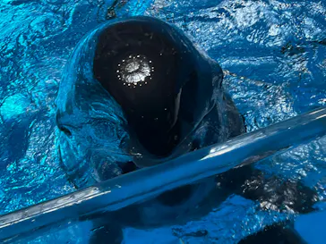 マクセル アクアパーク品川に投稿された画像（2026/3/16）