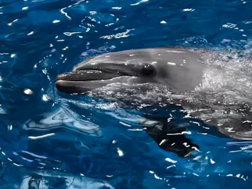 マクセル アクアパーク品川に投稿された画像（2026/3/16）